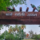 unnamed - 2025-09-01T174629.607
